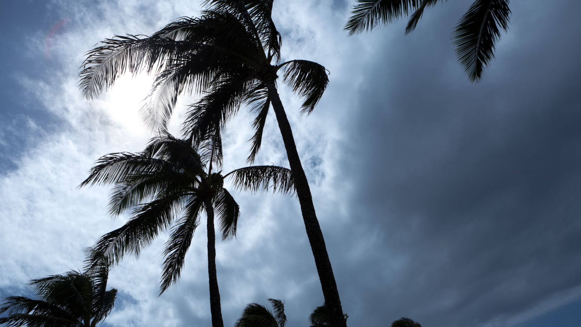 hurricane prep in Wauchula florida